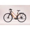 Le Vélo électrique Végétal Et éco-responsable -Vélos Équipement Magasin le velo electrique vegetal et eco responsable