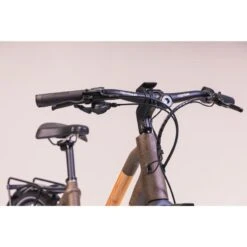 Le Vélo électrique Végétal Et éco-responsable -Vélos Équipement Magasin le velo electrique vegetal et eco responsable 3